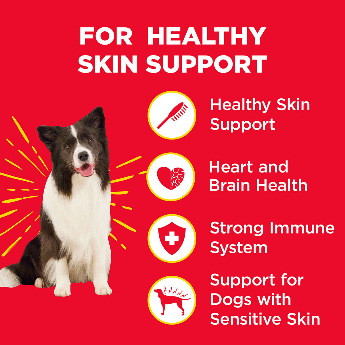 WonderBites for Healthy Skin Support