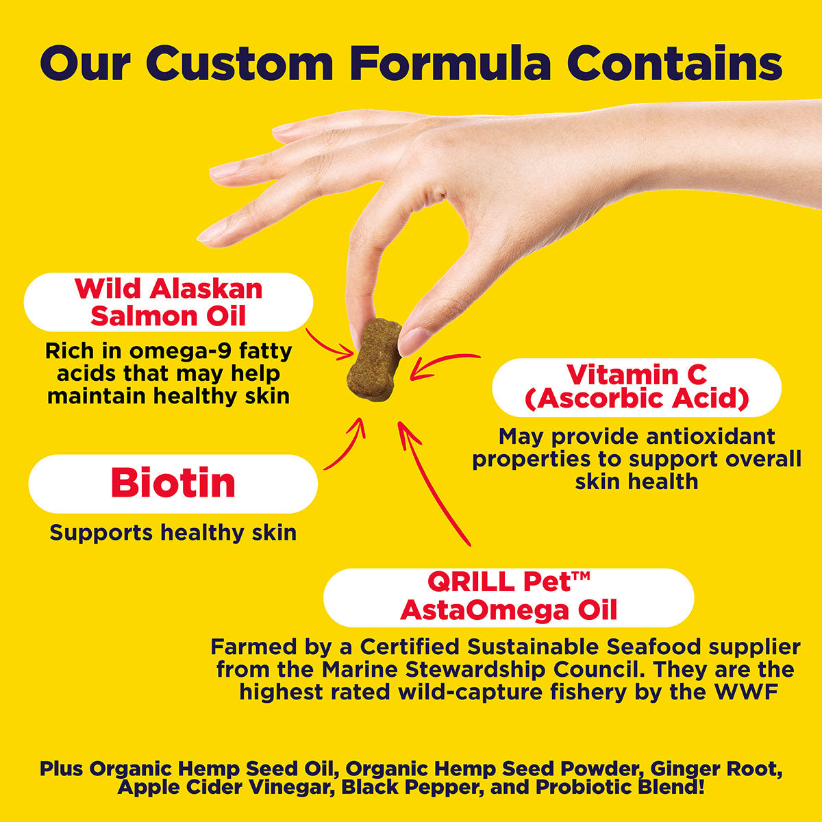 WonderBites for Healthy Skin Support