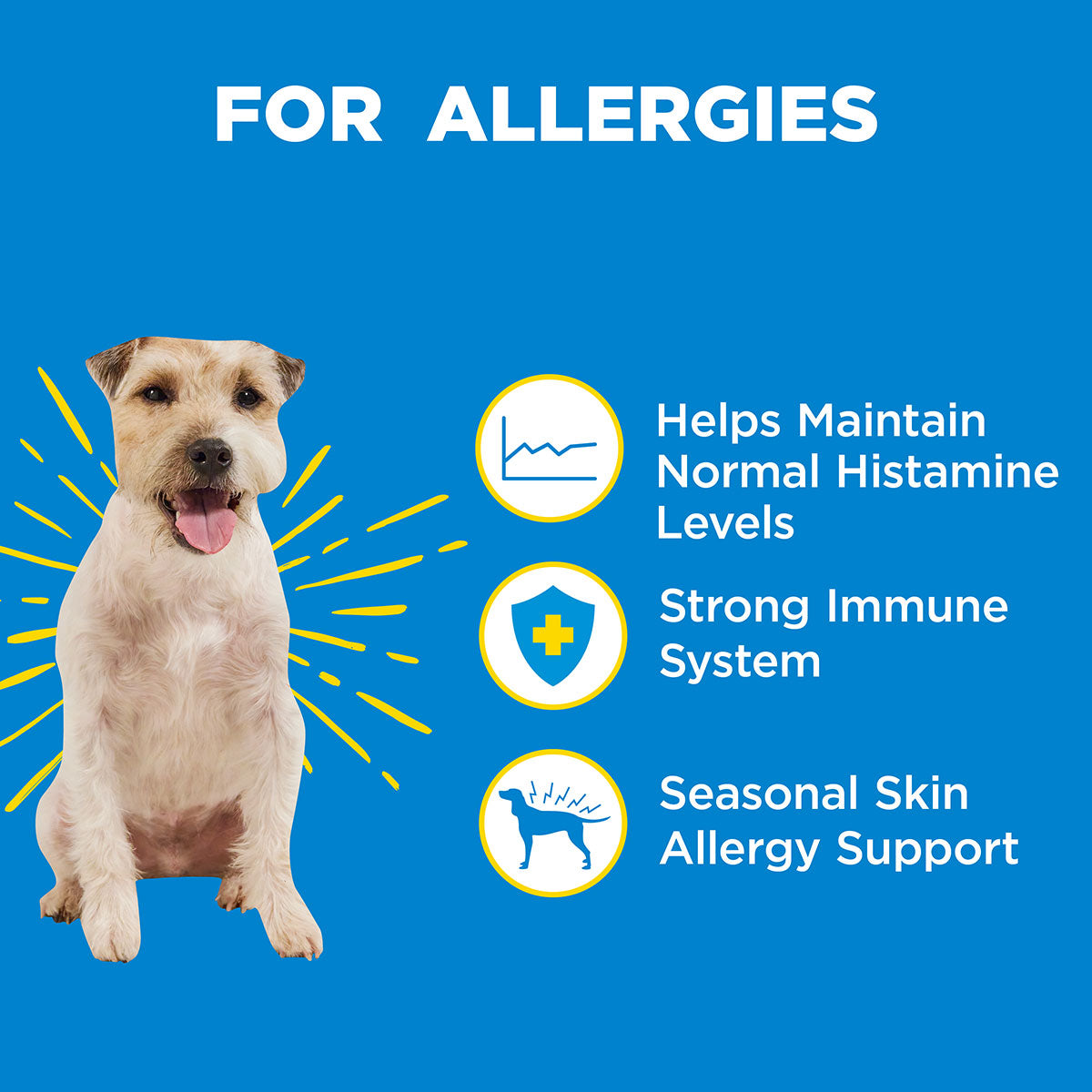 WonderBites for Allergies