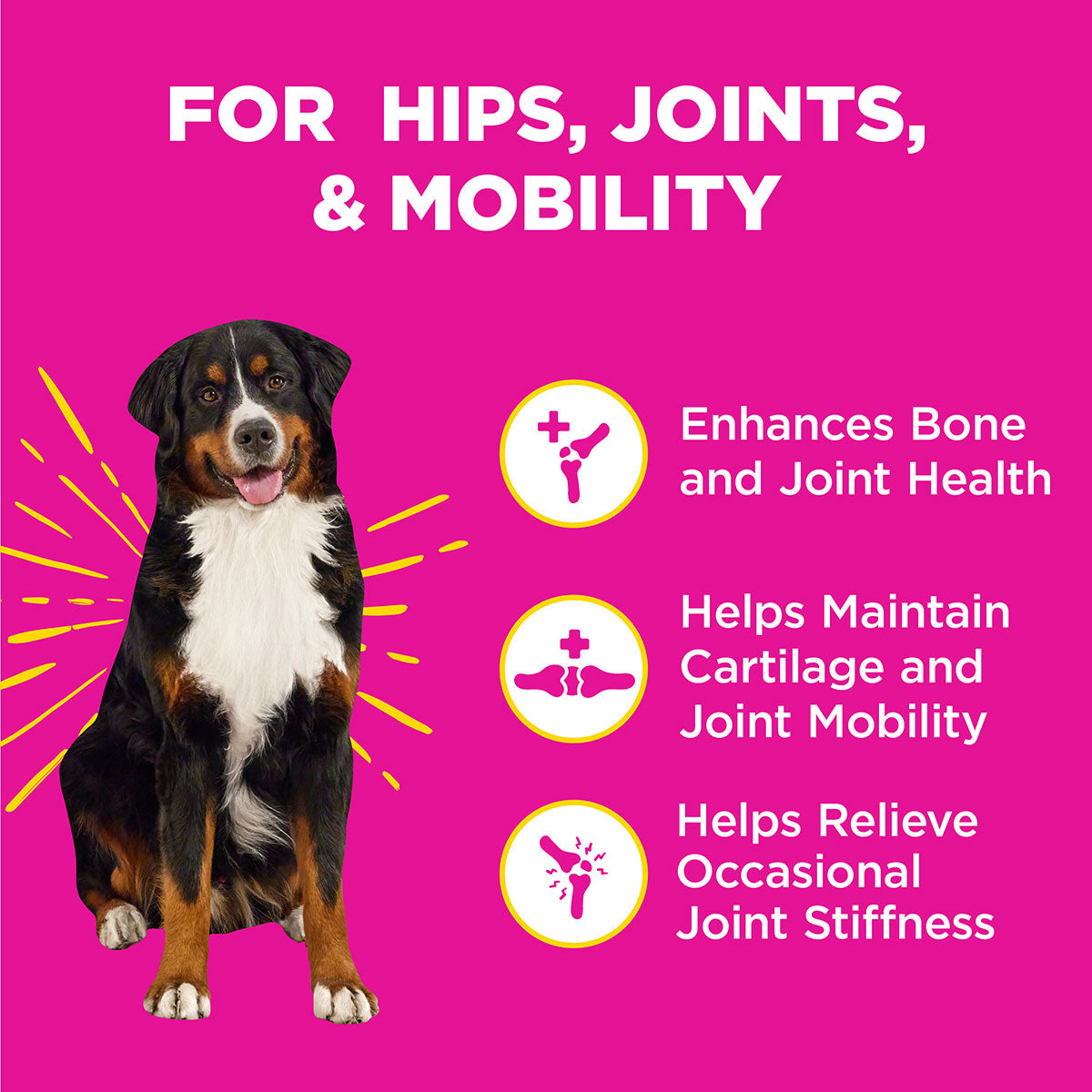 WonderBites for Hips, Joints, and Mobility